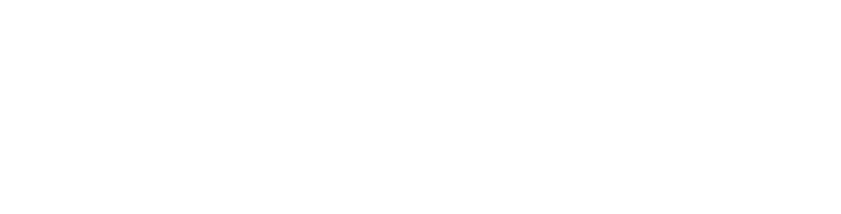 logo suissbus minibus autocar geneve